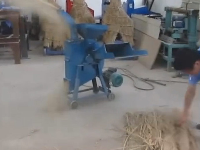 家用青貯處理現(xiàn)場